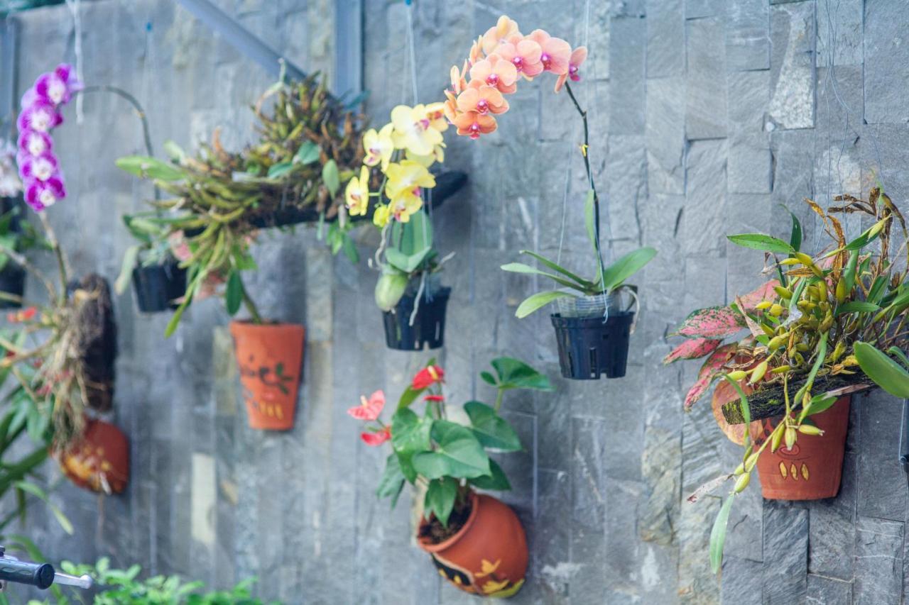 Flower Apartment Da Nang Esterno foto